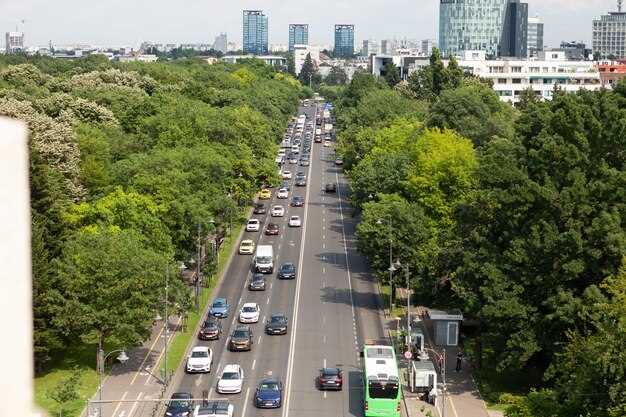 Увлекательные поездки по живописным местам Подмосковья