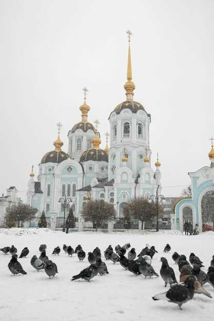Как и где увидеть редких птиц в Подмосковье